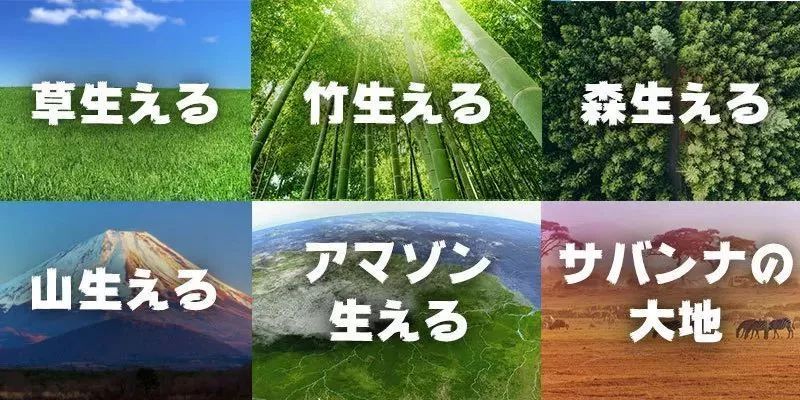 日本语草是什么意思,日本人说草的意思