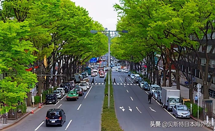 日本东京区位置选择,日本东京最好的区