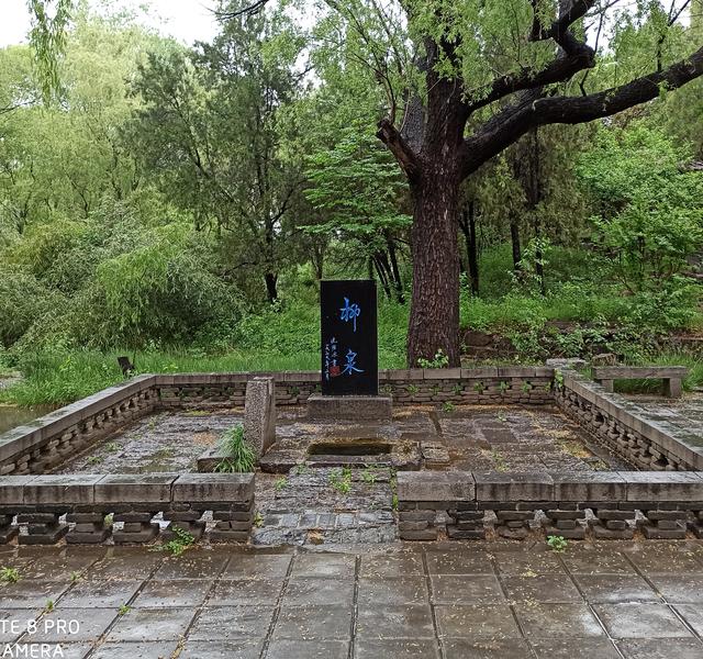 蒲松龄的传说·新编·狐仙白苏苏【上】