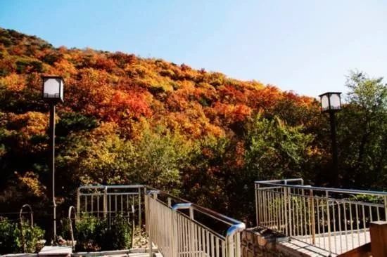 昌平最美的秋景在哪里,北京最美的秋景赏叶胜地香山公园