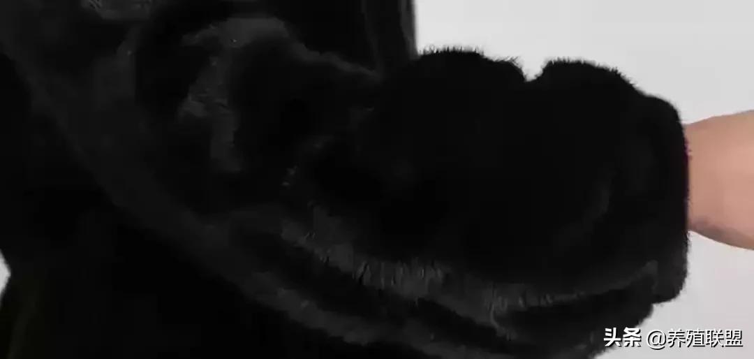 几千和几百的皮衣,一千块可以买什么档次的皮草