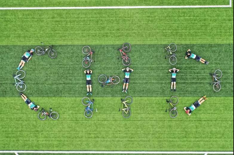 陕西进口电梯,大型进口草坪机
