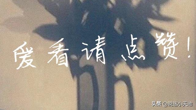 影帝与小土狗灵魂互换爱上美丽代购小姐姐《十二点的辛德瑞拉》
