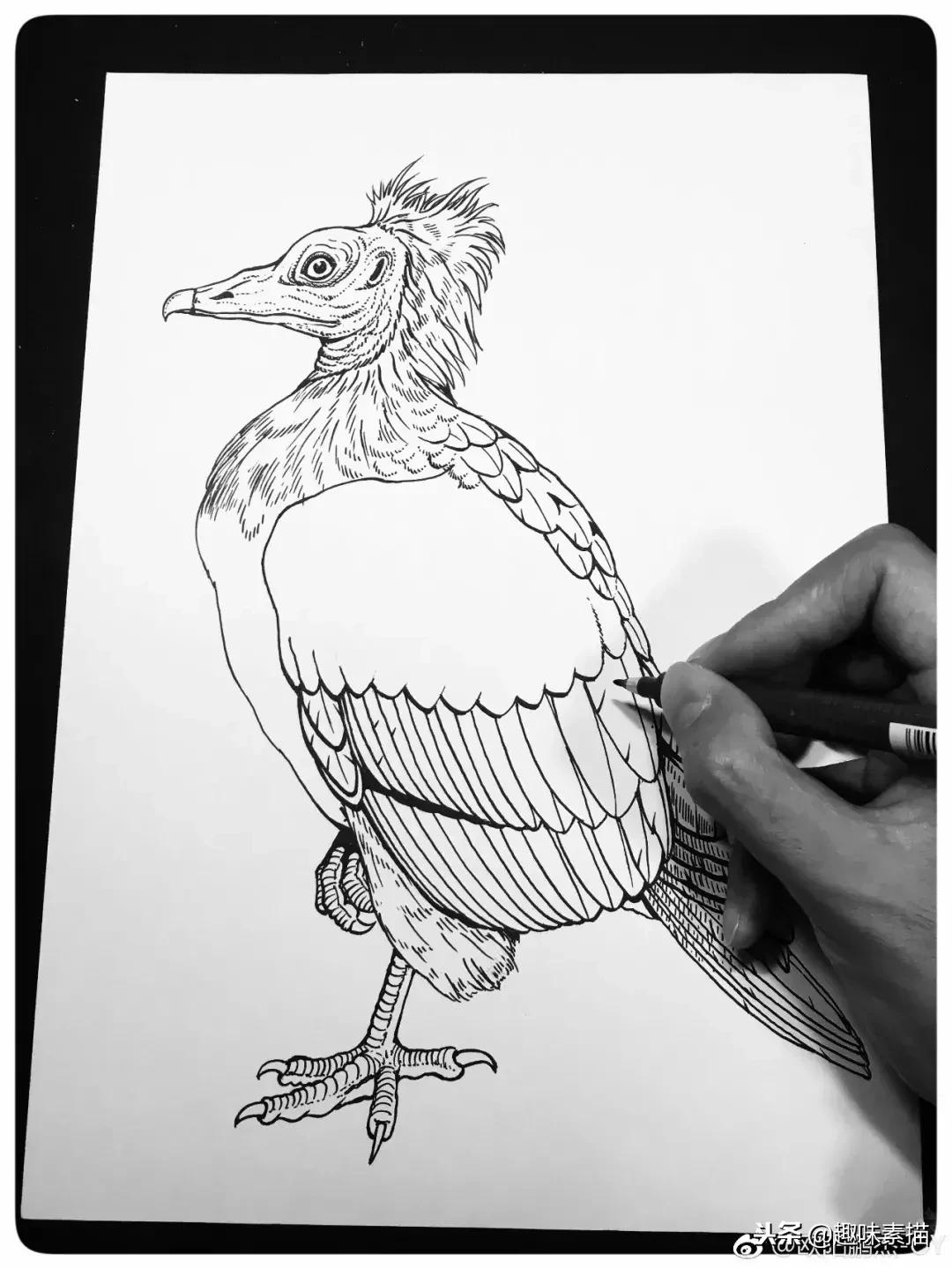 针管笔入门初学者画风景,针管笔教程