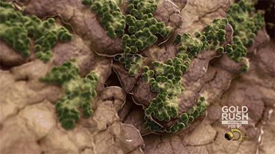 德国制造的机械有多强,德国制造阿迪