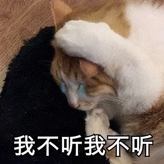 猫咪最适合哪种猫包,透明猫包对猫咪有哪些不好