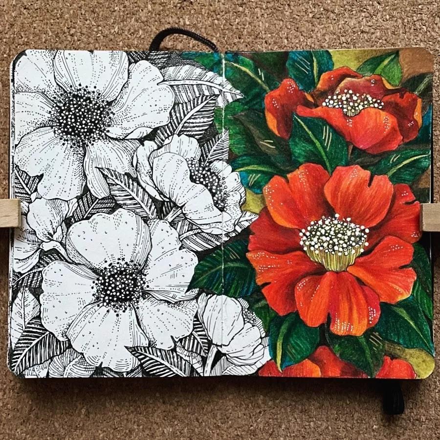 一看就懂的针管简笔画,针管笔入门手绘1000例临摹图