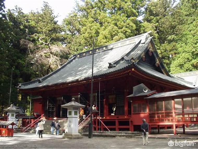 明日方舟种族考据,明日方舟考据党