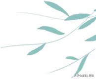 南美白对虾大小不一是什么问题,南美白对虾大小不均匀是怎么回事