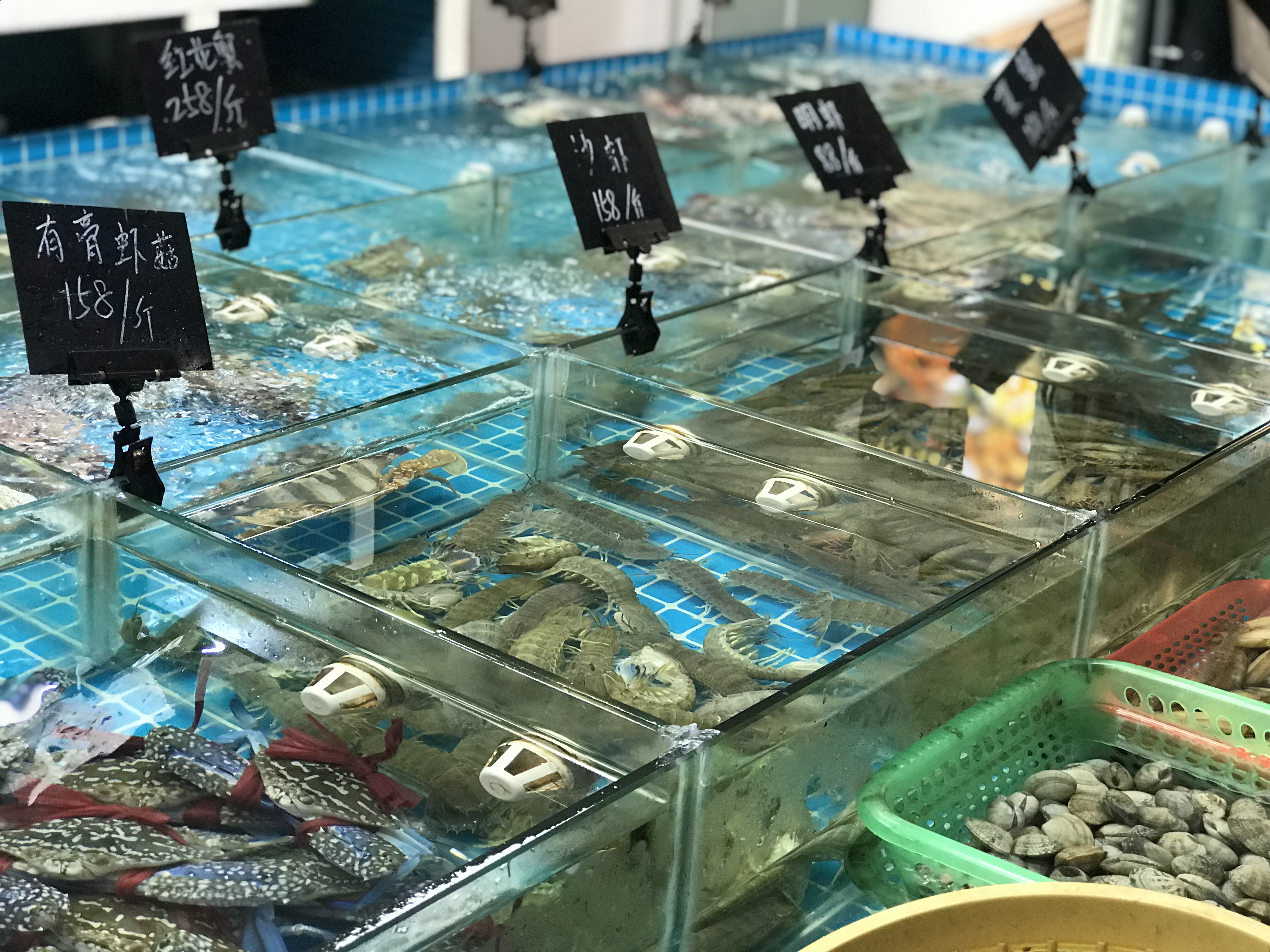 来来海鲜，旧店迁新址，老板直说我们家的菜都好吃，来过都想再来