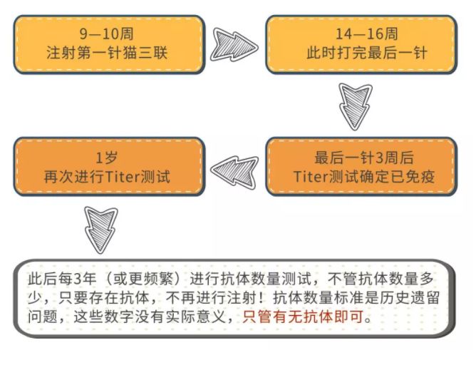 小猫打针后死了,小猫打了狂犬疫苗还会得病吗