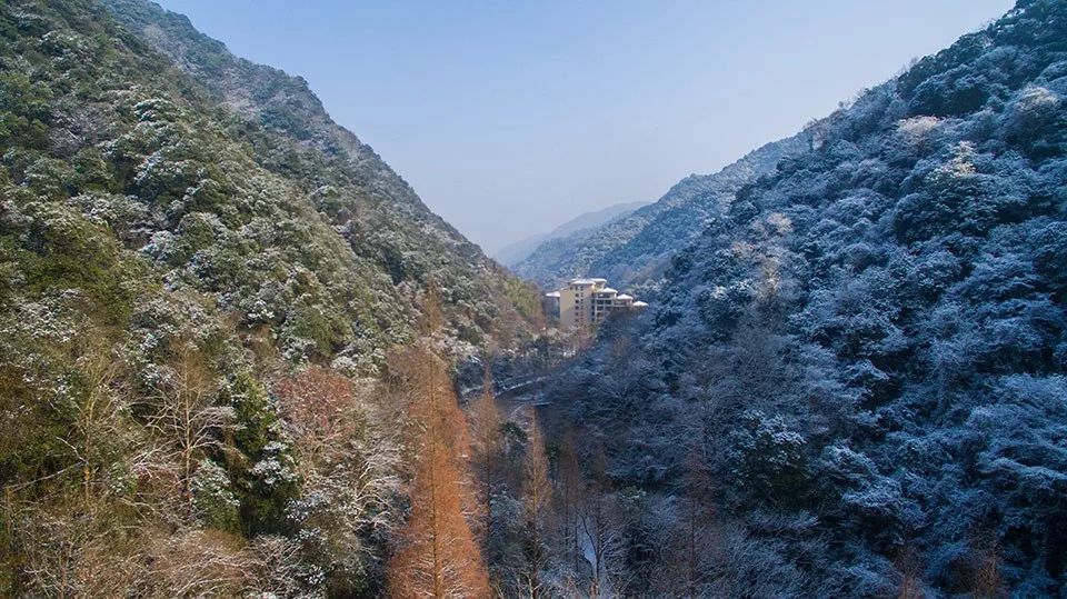 没有孵过混堂的上海冬天，是不完整的