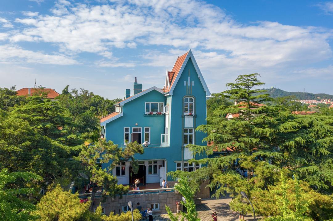 海滨老城泡桐花 (海滨老城紫色泡桐花)