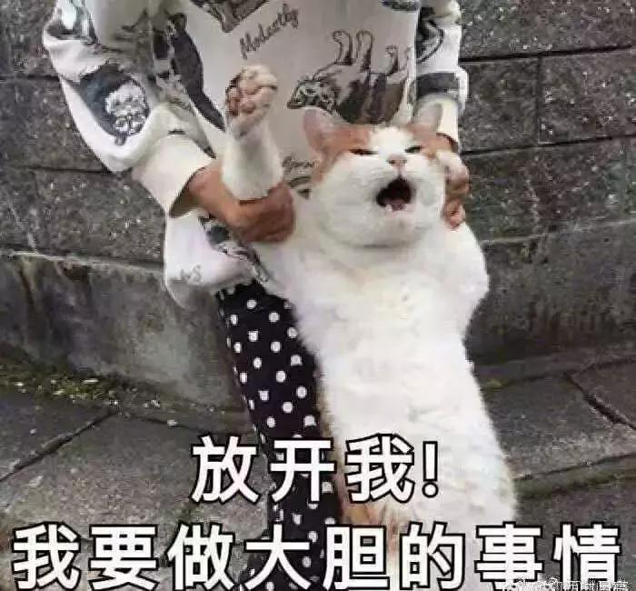 复试如何脱颖而出,复试需要关注的几个问题