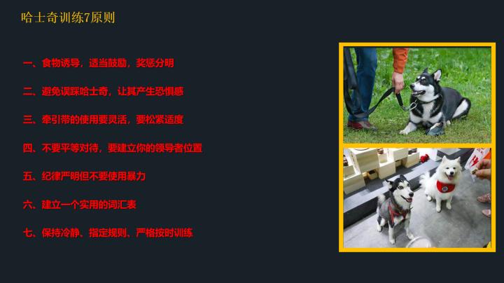 哈士奇到底应该怎么养,20天左右的哈士奇怎么喂养