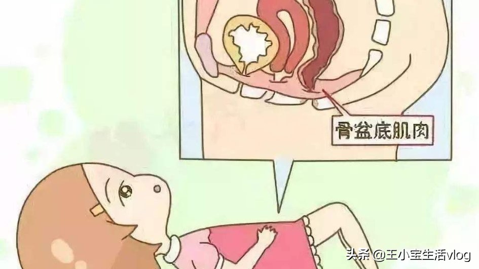 生完宝宝之后，一定要重视盆底肌，为什么产后一定要盆底肌修复呢