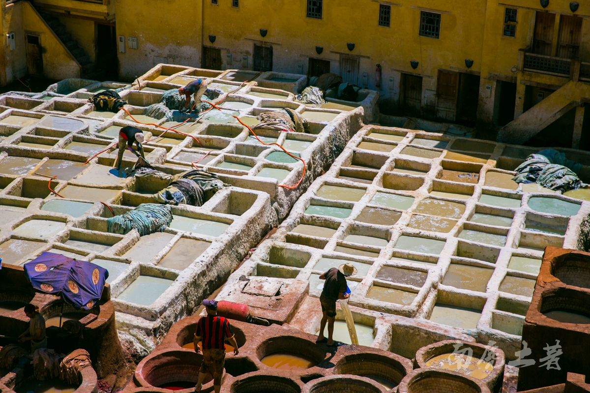非洲这个城市这么臭，游人却每天排队参观