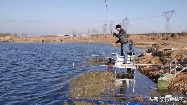 雷强钓黑鱼技巧教学视频,雷强钓黑鱼用什么饵