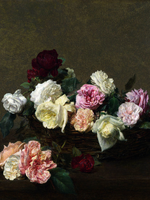 精美花图片大全,好看鲜花图片手绘