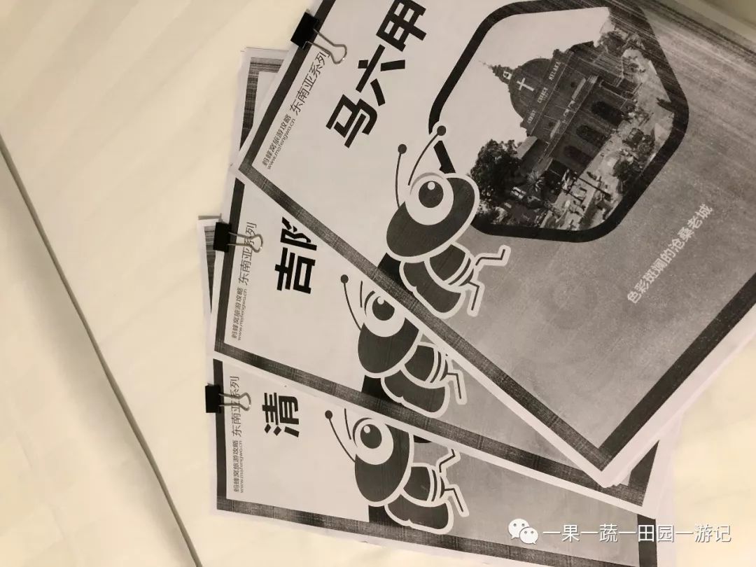 2个120岁一句英语都不会的老人·泰国自由行