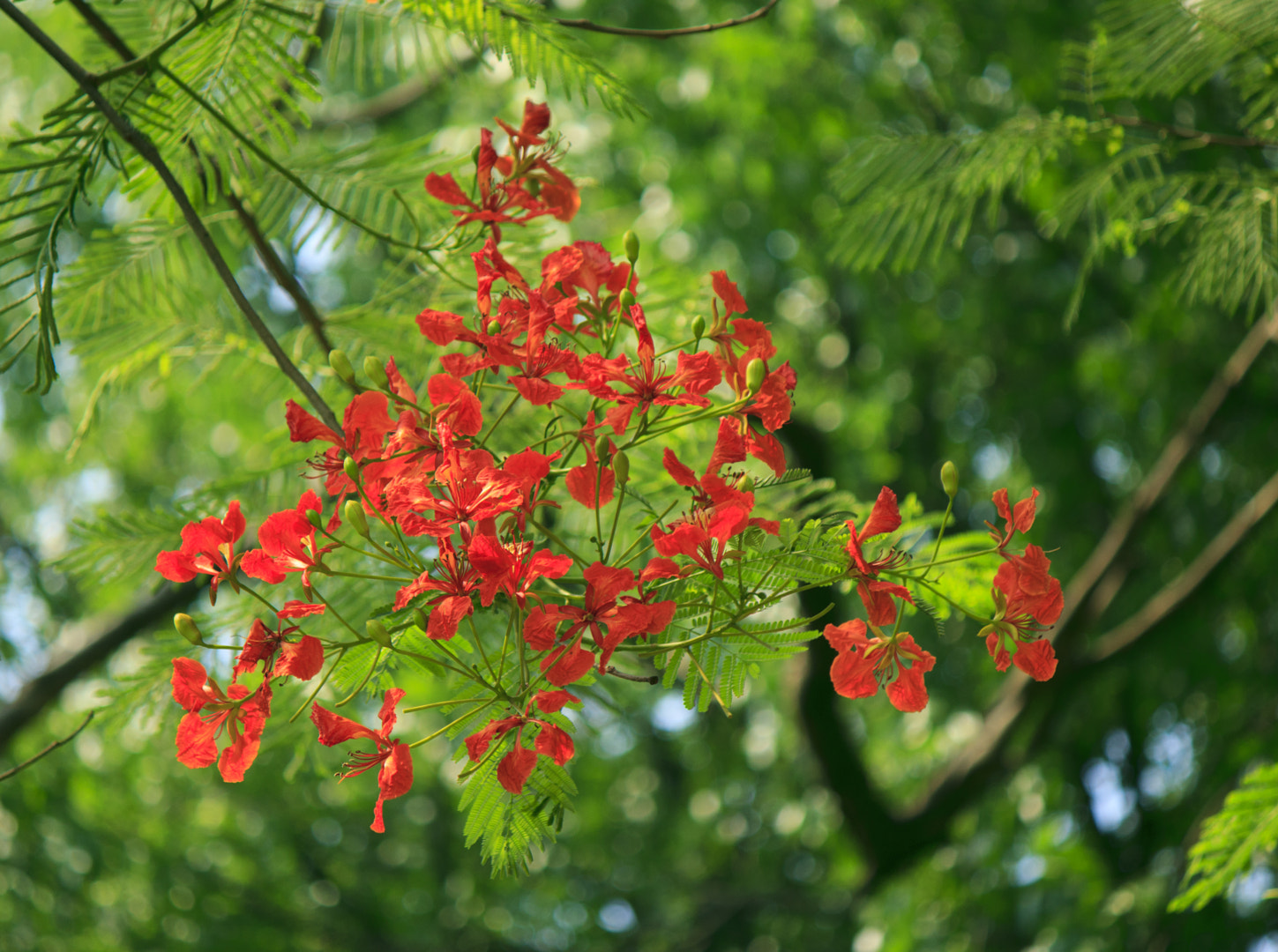 纺织品出口孟加拉,印度纺织业大量订单