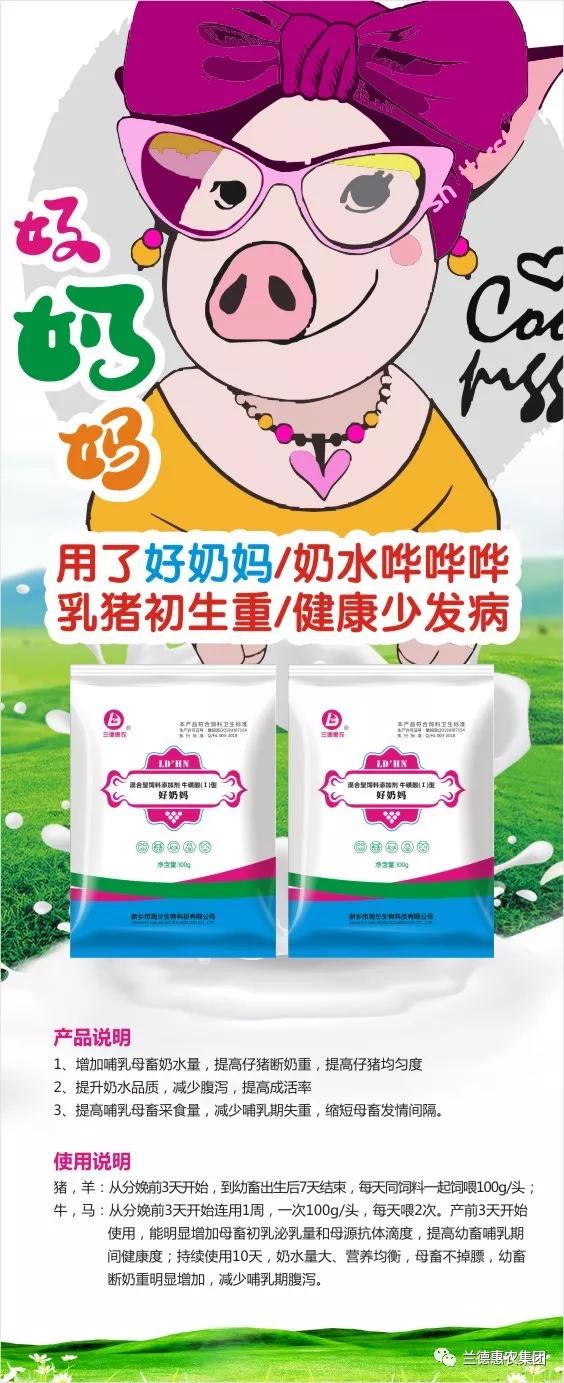 母猪为什么没有奶水？母猪产后没奶怎么办？