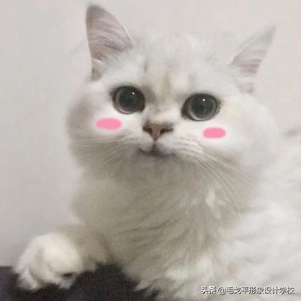 眼妆晕妆咋办,眼妆脏不立体