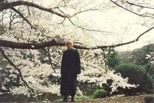 胡兰成今生今世完整版,胡兰成今生今世