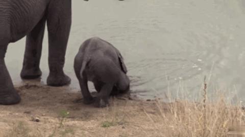 他们被杀之后，依然在爱你