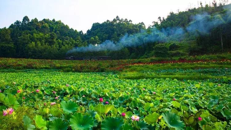 犍为最美的风景是哪里,犍为风景最优美的地方