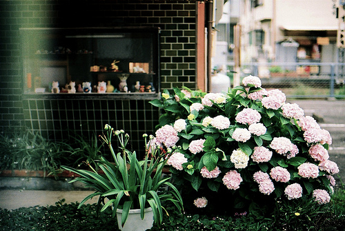 嫌你穷的男人是真爱你吗,嫌你穷的人要分手的人值得挽留吗