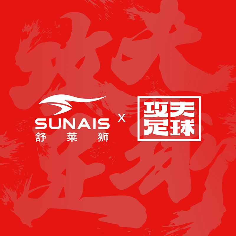 舒莱狮足球怎么打气,舒莱狮足球