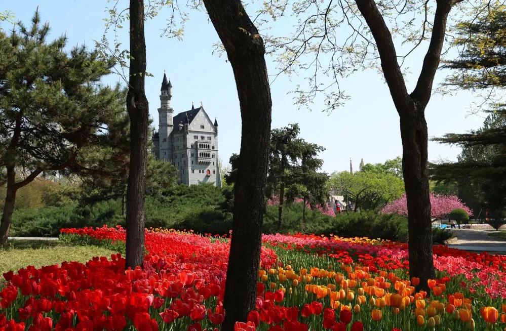 北京丰台五一旅游最佳去处,丰台区赏花景点