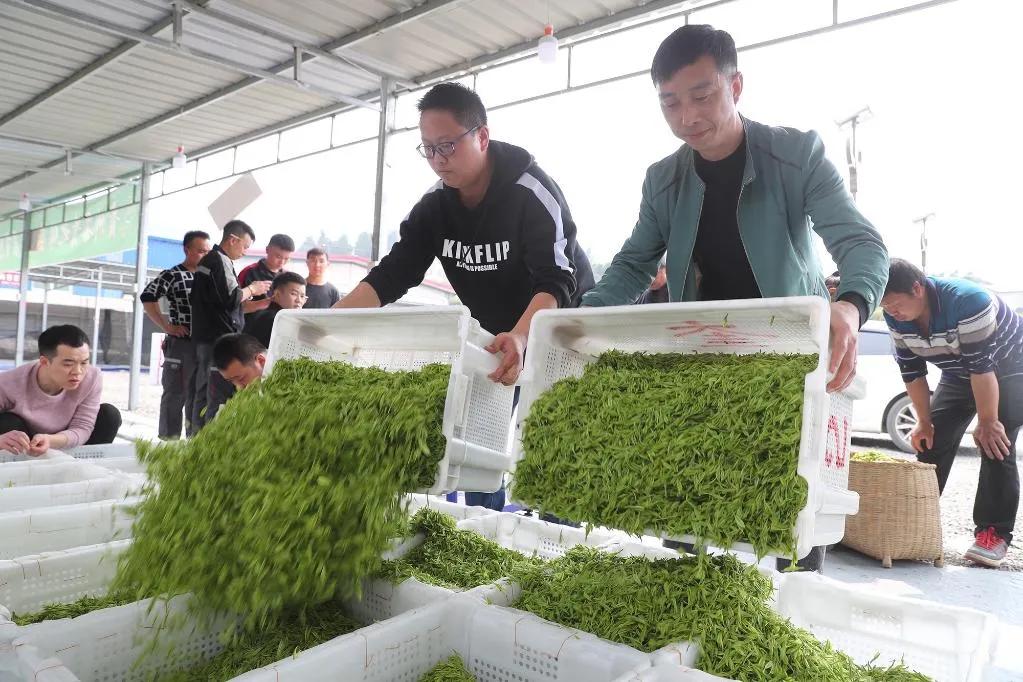 “转折之城”，满满“转折之志”——习*平近**总书记到过的红色圣地之贵州篇