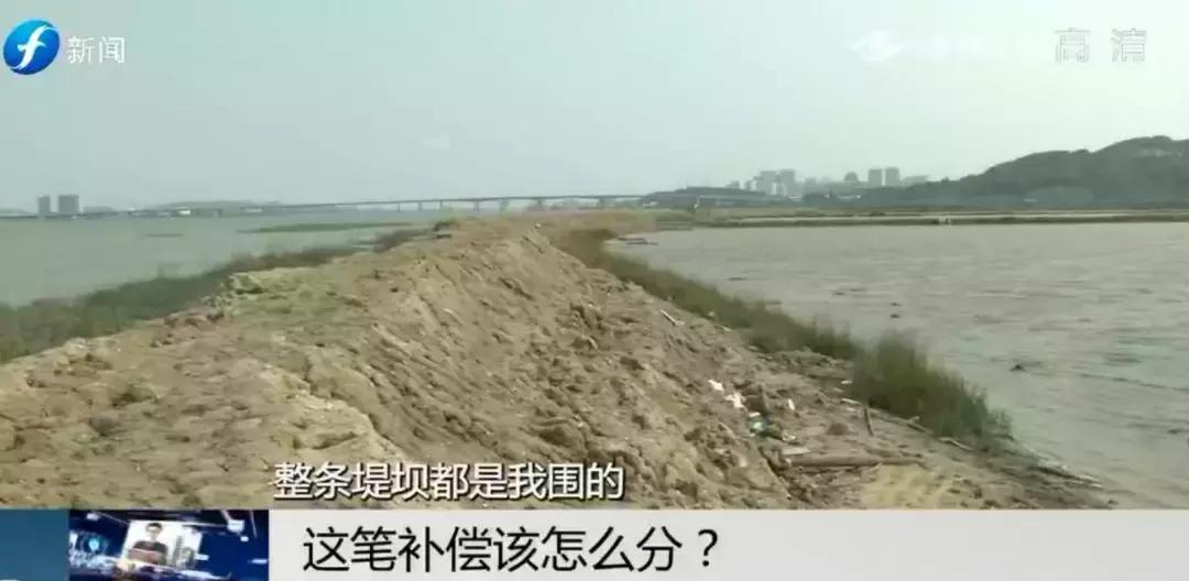 闹心|眼看快收成了，却遇上了麻烦事！这笔清退补偿究竟该怎么分？
