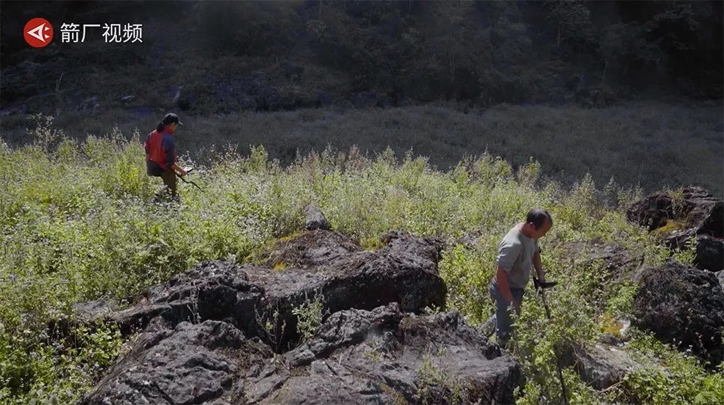 陨石刚卖一克3万,陨石多少钱一克中国真实陨石价格