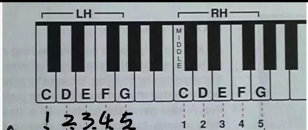 最易上手的流行钢琴曲手把手教学,10大流行钢琴教程
