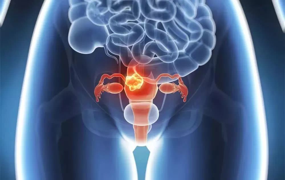 子宫是人体发育的开始吗,子宫是女人的根基吗
