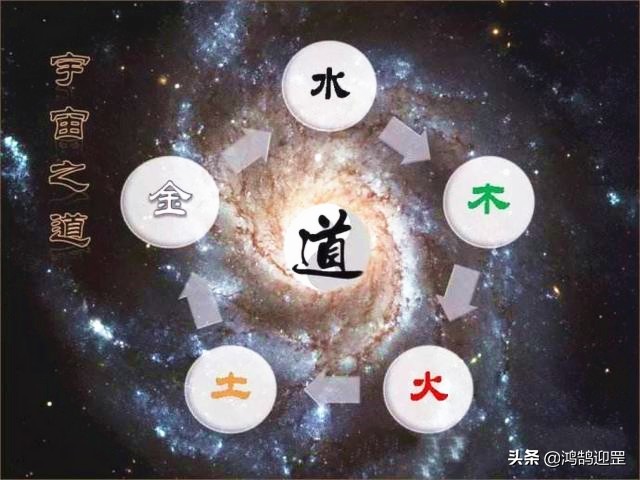为什么老鼠排到了12生肖第一名,12生肖为什么老鼠排在第一名