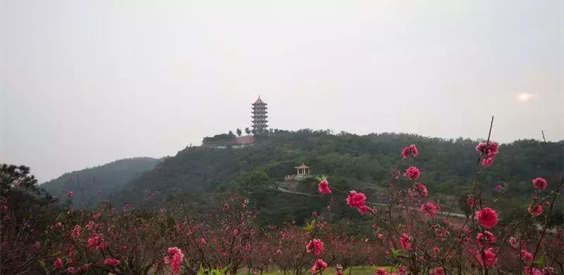 广州南沙区飞速发展,即将崛起的广州南沙区