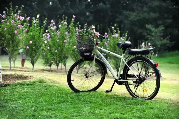 北京房山团建踏青地点推荐,北京房山春季旅游最佳去处