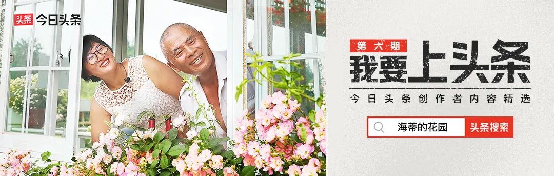 曾是电脑城销售，12年后坐拥60亩私家花园，137万网友跟她看春天