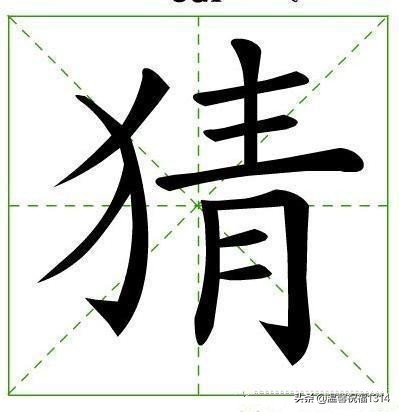 谜语大猜谜,猜谜大会完整版