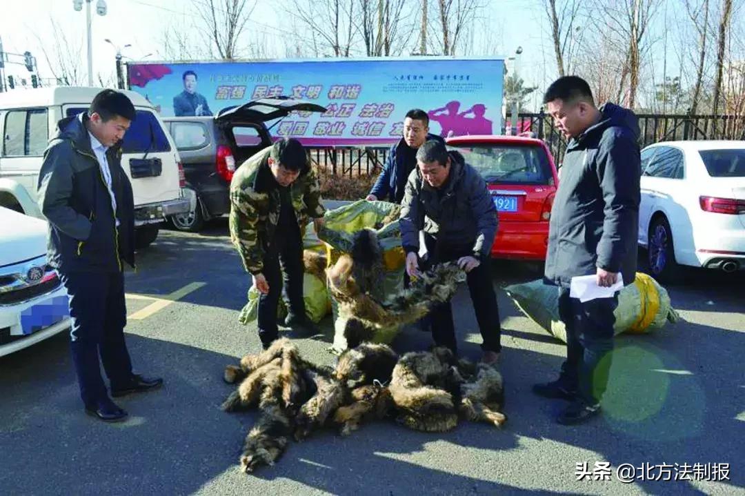 不翼而飞最新破案消息,不翼而飞探案最新进展