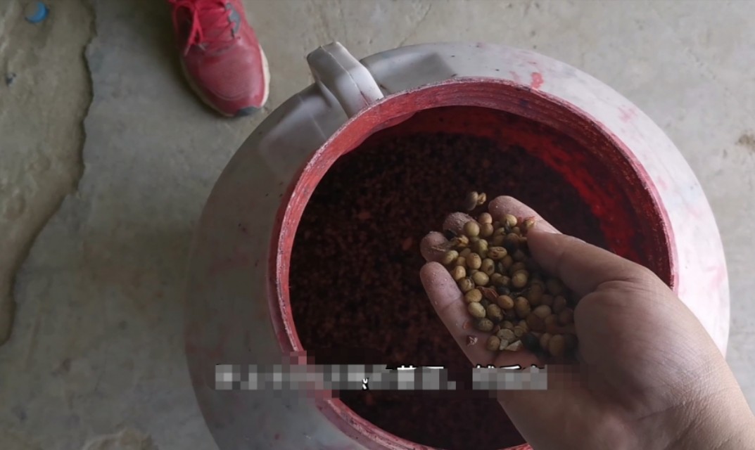 蔬菜地下害虫怎么治,蔬菜土里防虫药有效吗