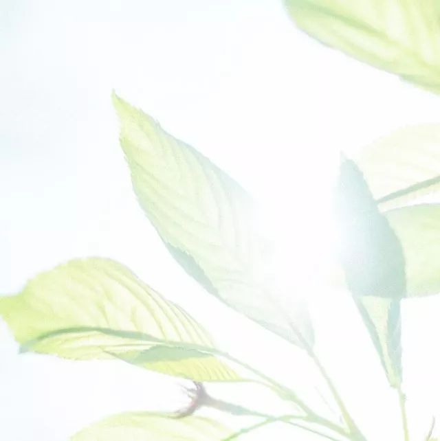 美肌怎么样,美肌皮肤修复