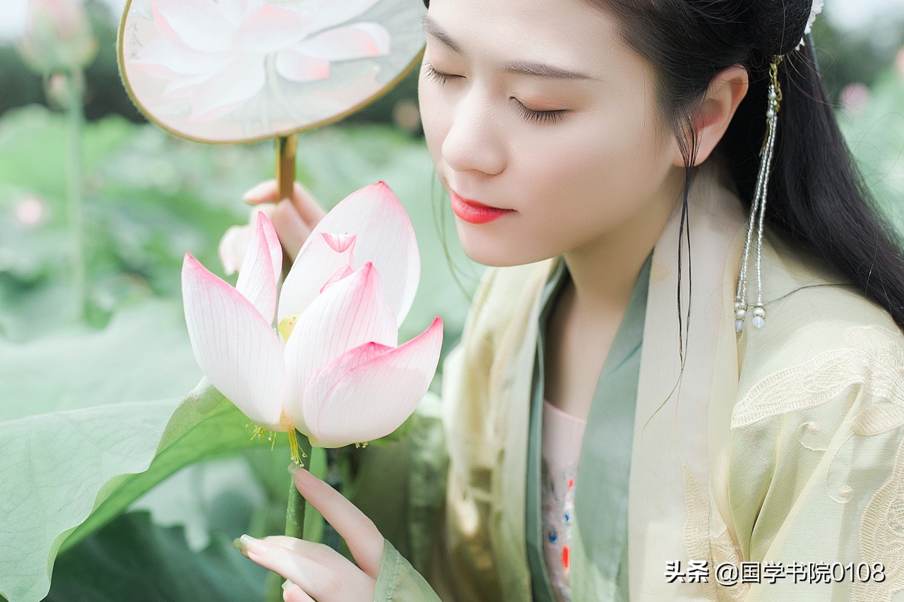 荷花最美的十首诗词,十首最美荷花诗词