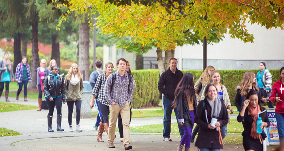 流水的排名铁打的梦幻,流水的榜单铁打的周董