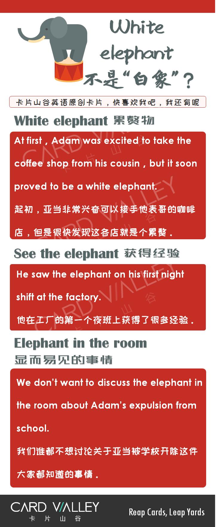 whiteelephant中文的意思,whiteelephant的英文含义