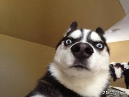 手机计算器出现错误两字怎么解决,手机计算器出现有趣的错误